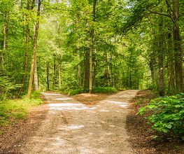 Praxis für Psychotherapie, Supervision & Coaching Bild 1