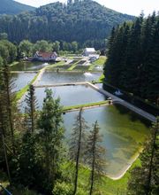 Sauerländer Forellenzucht Thomas Rameil Bild 4