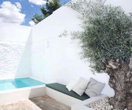 MCR_Piscinas_Sevilla_patio_olivo.jpg