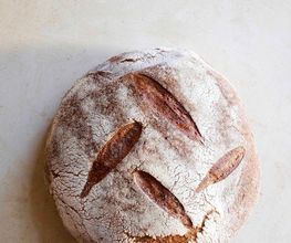 Le Pain Quotidien imagen 20