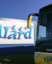 Cars Collard image 11