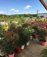 DELBARD TONNERRE image 4