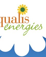 Qualis Energies image 1