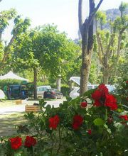 Camping de la Muse image 1