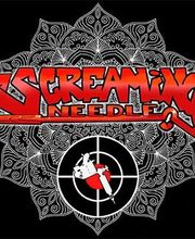 Screaming Needle Studio privé image 1
