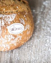 Bäckerei Konditorei Sterchi Länggasse-Muesmatt Bild 1