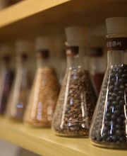 BAI-TCM Zentrum Bild 8