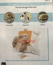 Hyla - Klara Denzler Bild 3
