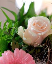 Dreschke Bestattungen Fromageot GmbH Bild 4