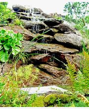 Strotz Gartenbau AG Bild 2