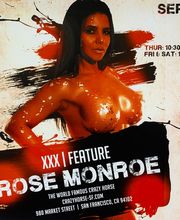 The Crazy Horse image 4