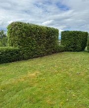 Casa Grande Hauswartung GmbH Bild 5