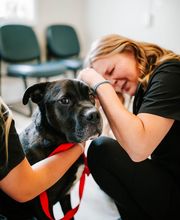 Twin Oaks Veterinary Clinic image 9