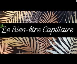 Le Bien Etre Capillaire image 2