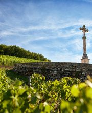 Maison Louis Latour image 3