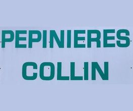 Collin Philippe image 2