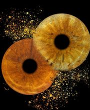 You & Eye Photo Montreux Bild 5