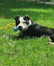 Les Moustaches en Vacances image 1