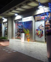 Gallery Cliente
