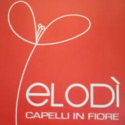 Salone Elodì logo