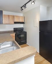Waterloo Place Apartments image 11