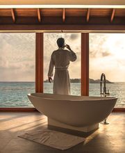 Lloyd et Davis Debroize Valerie image 9