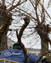 SuperServices Sàrl Bild 1