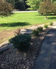 A Cut Above Landscape image 1