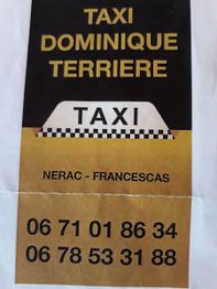 Taxi Terriere