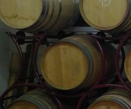 Cantina Böscioro Bild 11