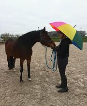 EARL K'VAL CAD image 1