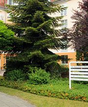 Anna-Scherer-Haus Bild 2
