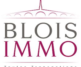 Blois-Immo image 2