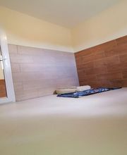 Felidog Sarl image 9