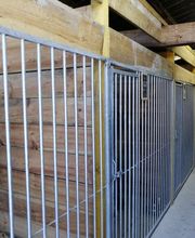 Harmonie Canine image 4