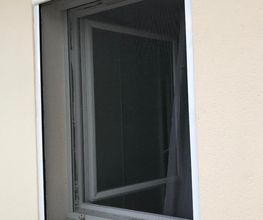 Stoliroll image 7