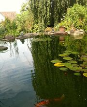 Gschwend Gartenbau und Gartenpflege GmbH Bild 12