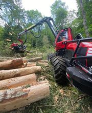 Passion Forêt SA Bild 2