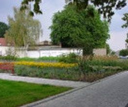 Rasenpflege