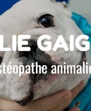 Coralie GAIGNARD OPOIL Thérapie 