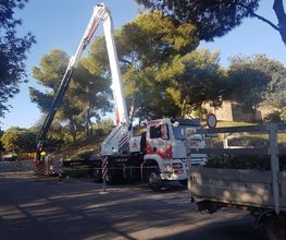 gruas-alvarez-huelva-grua-pluma-04.png