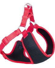 Bolonka-Shop.com Bild 12