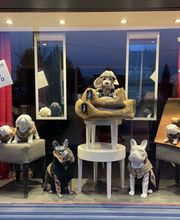 Entre Chien et Chat image 1