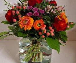 Floria Blumen Bild 5