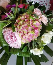 L'Hibiscus SARL image 2