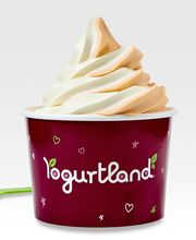 Yogurtland Tustin image 19