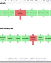 Christine Aboussouan -ChristineDiet4life Bild 8