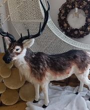 DECORACIÓN DE NAVIDAD S.L. imagen 12