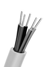 Kramer, Günter Bild 2