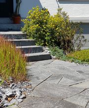 Zürich Winterthur Pflege Rasen Pfanzen